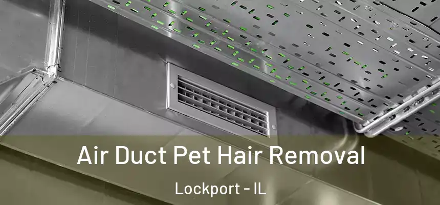 Air Duct Pet Hair Removal Lockport - IL