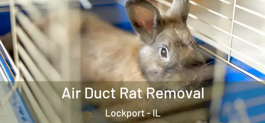  Air Duct Rat Removal Lockport - IL