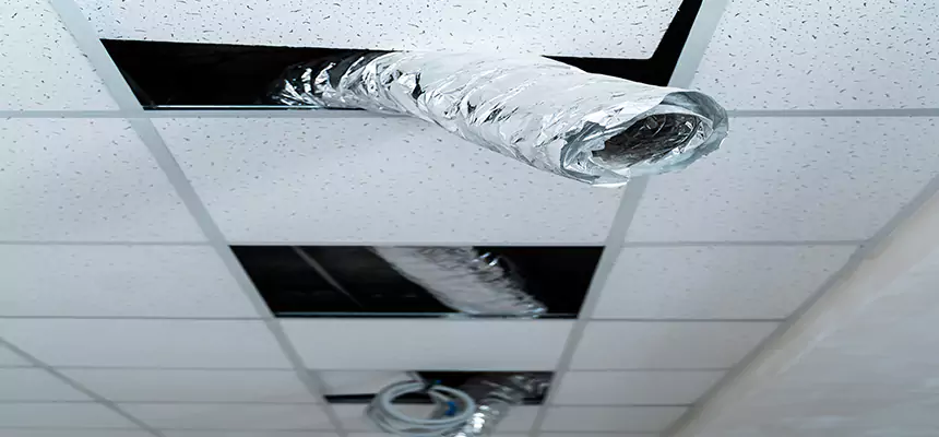 Our Air Duct Pet Hair Removal Services in Lockport, IL