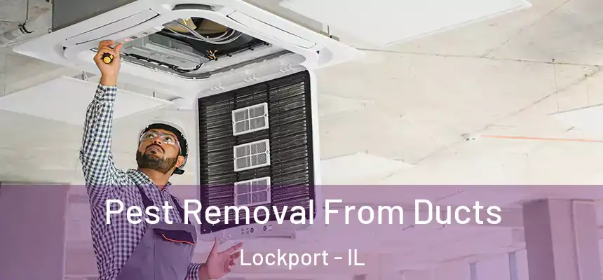  Pest Removal From Ducts Lockport - IL