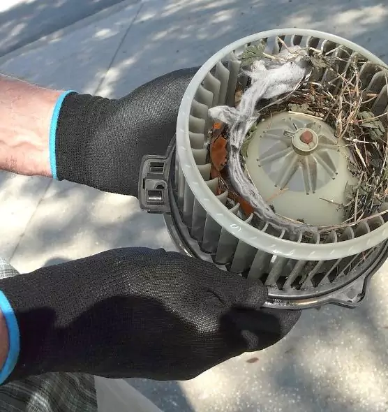 About Air Duct Rat Removal in Lockport, IL