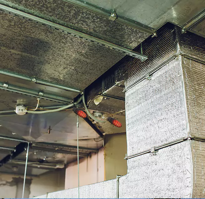 Why Homeowners & Businesses Trust Us in Lockport, IL?