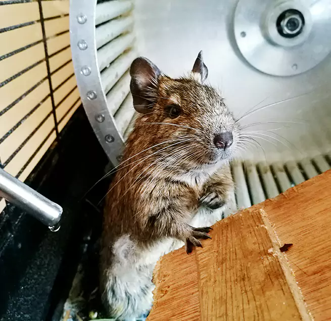 Why Homeowners & Businesses Trust Us Lockport, IL?