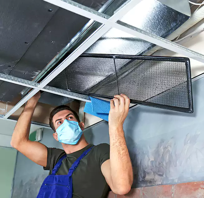 Why Homeowners Businesses Trust Us in Lockport, IL